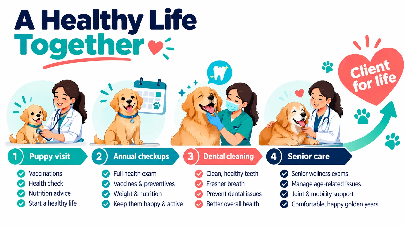 Timeline of a pet's life with a clinic: puppy visit, annual checkups, dental cleaning, senior care, client for life